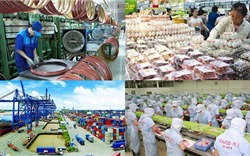 Ngân hàng thế giới (WB): Kinh tế Việt Nam 2019 ước tăng 6,8%
