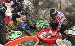 Nông dân Trung Quốc ký đơn phản đối lệnh cấm buôn bán động vật hoang dã