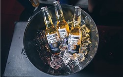 WHO cảnh báo rượu bia “vô tác dụng” trong phòng chống Covid-19