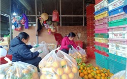 Hơn 600 tiểu thương chợ Đông Hương bất an trước thông tin quy hoạch chợ mới 