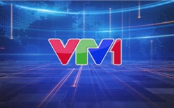 Lịch phát sóng VTV1 ngày 11/5/2020