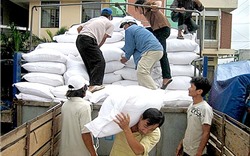 Xuất cấp gạo dự trữ quốc gia cho 3 tỉnh bị thiên tai, mưa lũ