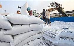 Hà Nội: Tháo gỡ khó khăn thúc đẩy xuất khẩu gạo trong bối cảnh dịch Covid-19
