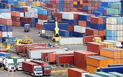 Nhập khẩu hàng hóa của Việt Nam trong tháng 11 giảm nhẹ
