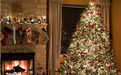  Nguồn gốc truyền thống trang trí cây thông dịp Giáng sinh 