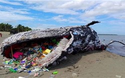 Năm 2030, 100% các khu du lịch ven biển không sử dụng nhựa dùng một lần
