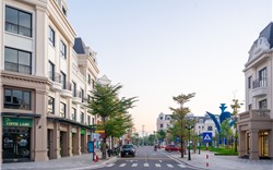 Một lần đầu tư – ba dòng thu nhập: Công thức lợi nhuận bền vững tại Asia Vibe