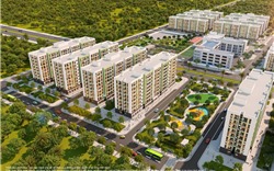 Gia đình đa thế hệ chọn The Rise để mỗi thành viên đều có khoảng trời riêng 