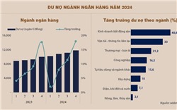 Bức tranh tăng trưởng tín dụng các nhóm ngành 