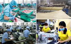 Bộ Chính trị ban hành Nghị quyết mới: Xóa bỏ triệt để thái độ định kiến về KTTN