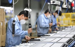 Nghị quyết 68 khơi thông nguồn lực về vốn, tạo động lực cho DN tư nhân