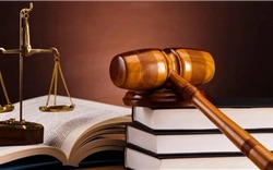 Chương trình hành động thực hiện đổi mới công tác xây dựng và thi hành pháp luật