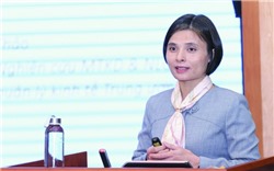  TS. Nguyễn Minh Thảo: Đây là thời điểm vàng để cải thiện môi trường kinh doanh 