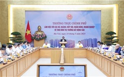 Quyết liệt xử lý hành vi thổi giá, đầu cơ, thao túng, lũng đoạn thị trường 