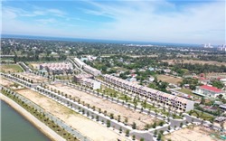 Bộ Nông nghiệp và Môi trường dự kiến cắt giảm 60% điều kiện kinh doanh dịch vụ 