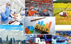 Cục Thống kê: Sáu tháng cuối năm GDP cần tăng 8,42% để đạt mục tiêu cả năm 