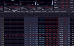 Chứng khoán giảm sâu, cổ phiếu bất động sản “nằm sàn”