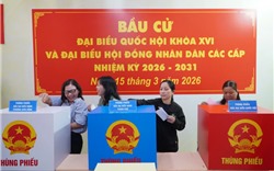  Những điều cử tri cần lưu ý khi tham gia bỏ phiếu 