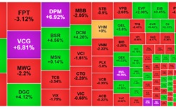 Thị trường chứng khoán rung lắc, lộ diện những cổ phiếu đang định giá thấp 