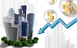 PGS.TS. Ngô Trí Long nói về đầu tư khi tiền “khó tính”