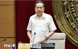  Ủy ban Khoa học, Công nghệ và Môi trường không được phép đi sau thực tiễn 