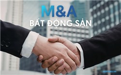 Chất lượng tài sản định hình "cuộc chơi" M&A trong bối cảnh mới 
