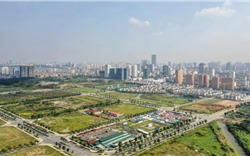 Đấu giá đất nền "sốt" trở lại: Ai đang xuống tiền? 