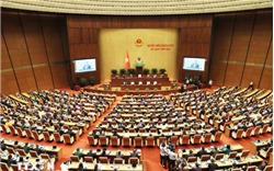 Quốc hội làm việc, thảo luận về Luật điện lực, Luật báo chí và dự án luật khác