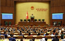 Ngày 8/4, Quốc hội tiếp tục công tác nhân sự, thảo luận các dự thảo luật 