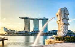 Trải nghiệm “full-service” hiện diện trên chặng bay Phú Quốc - Singapore