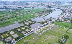 Đấu giá đất sôi động: Ngân sách tăng nhưng rủi ro thị trường tiềm ẩn?