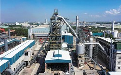 Vingroup hợp tác và hỗ trợ Pomina phát triển 