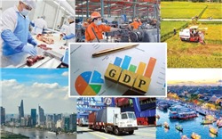  GDP Việt Nam năm 2025 tăng trưởng khá, ước đạt 8,02% 