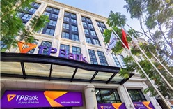 TPBank kiện toàn nhân sự Ban Điều hành, hướng tới phát triển bền vững 