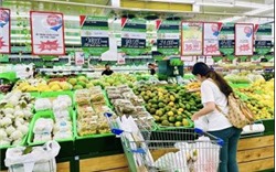 Thủ tướng chỉ thị kích cầu tiêu dùng, hỗ trợ SX, KD, PT thị trường trong nước