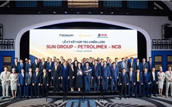 Sun Group - Petrolimex hợp tác chiến lược, hướng tới APEC 2027