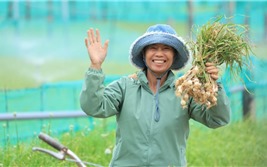  Nam Ngư cùng nông dân đảo Lý Sơn phát triển kinh tế địa phương 