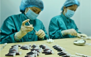 Việt Nam sẽ có cơ hội tiếp cận vắc xin ngừa COVID-19 sớm