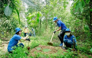 Nghiên cứu đề xuất áp dụng cơ chế chi trả chỉ số môi trường rừng