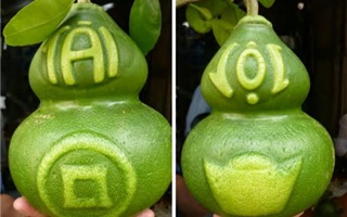 Tết 2016, trái cây hình dạng độc đáo lên ngôi