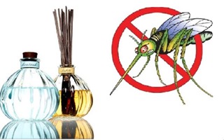 Những cách đuổi muỗi tự nhiên, an toàn và hiệu quả