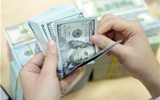 Giá vàng SJC giảm sâu, tỷ giá USD “án binh bất động”