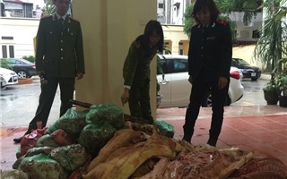 Thu giữ hơn 1 tấn thịt lợn bẩn tại chợ Phùng Khoang 
