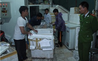 Hà Nội: Bắt giữ 5 tấn hải sản chuyên cung cấp cho nhà hàng Hàn Quốc  