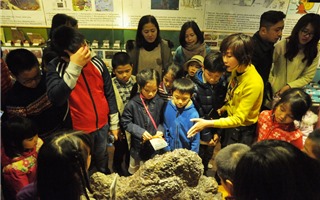 Chen nhau tham quan miễn phí bảo tàng thiên nhiên Việt Nam 