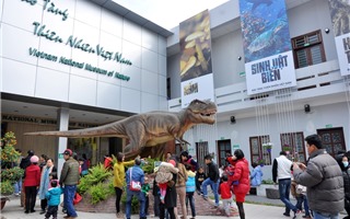 Lịch mở cửa tham quan miễn phí Bảo tàng Thiên nhiên Việt Nam 