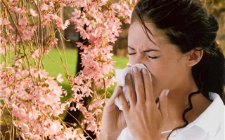 Bệnh mùa xuân: Tìm hiểu và phòng tránh bệnh thường gặp vào mùa xuân