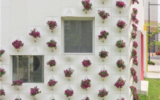 Những thiết kế vườn tường sáng tạo mà tuyệt đẹp cho ngôi nhà của bạn