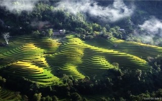 Những thửa ruộng bậc thang hấp dẫn nhất Việt Nam