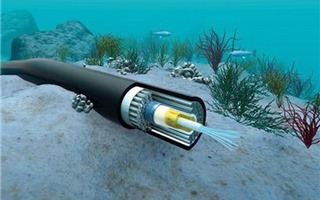 Google mở rộng tuyến cáp quang ngầm dưới biển để nâng chất lượng